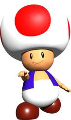 Toad